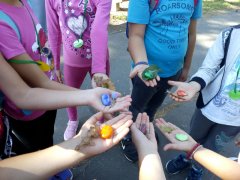 IMG_20190914_094723.jpg